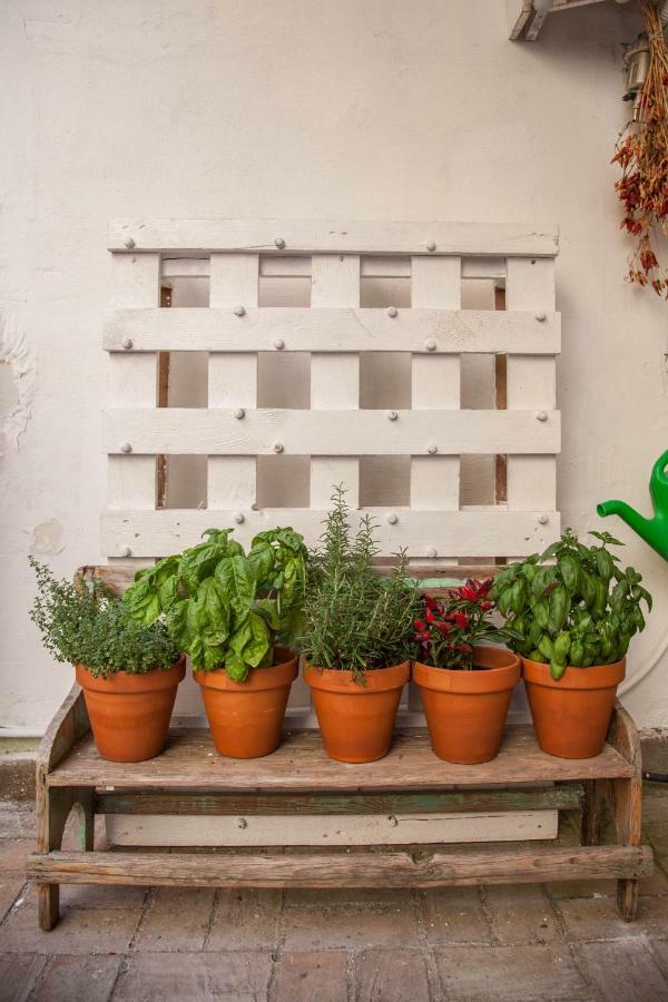 Borgo Vergini Garden B&B Nápoly Kültér fotó